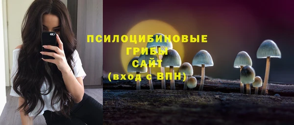 прущие грибы Белоозёрский