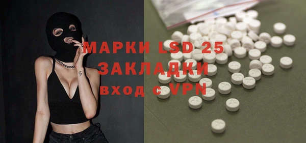 прущие грибы Белоозёрский