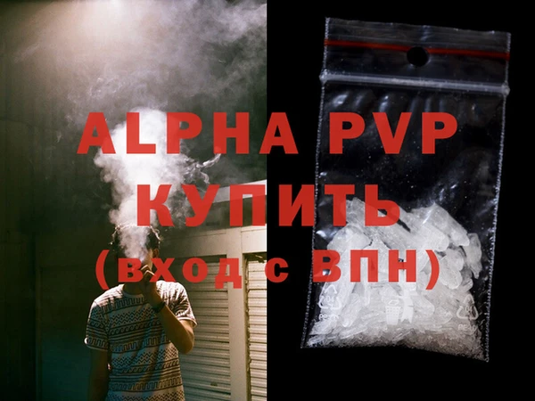 прущие грибы Белоозёрский
