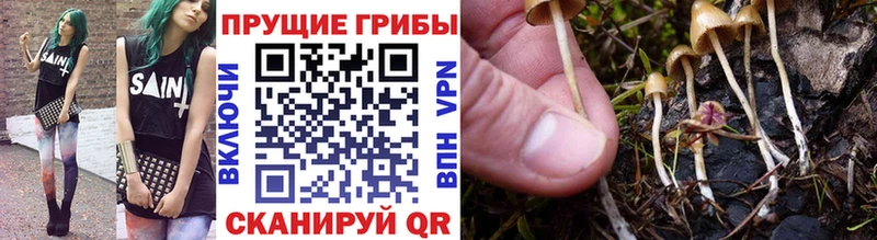 Галлюциногенные грибы Cubensis  Мезень 